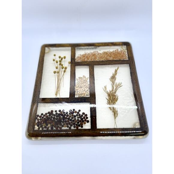 Vintage Lucite Pressed Grains Trivet Feet MCM 1970s Seeds Lentils Kitschy Resin - Picture 3 of 3